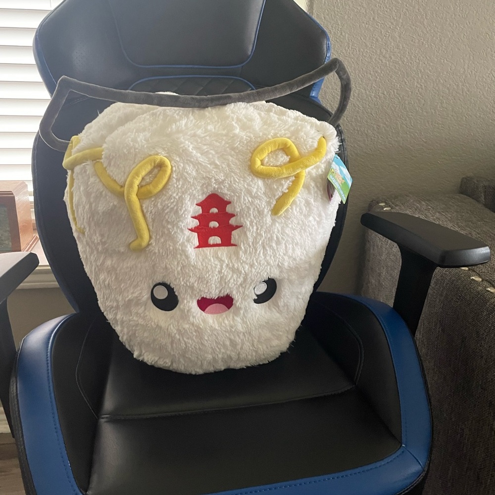 Take out box                                     Comfort food squishable